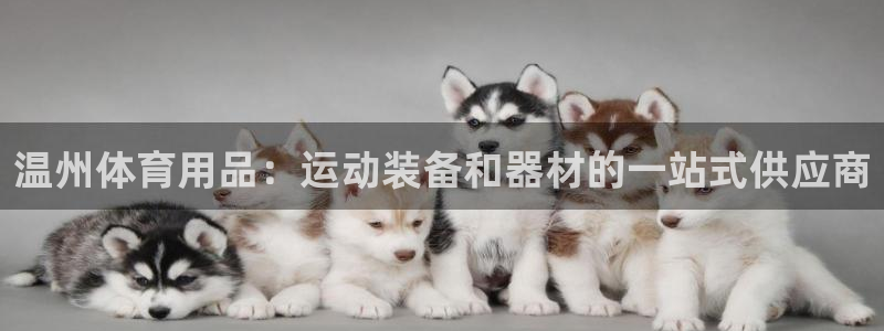 欧陆娱乐计划预测软件有哪些：温州体育用品：运动装备和