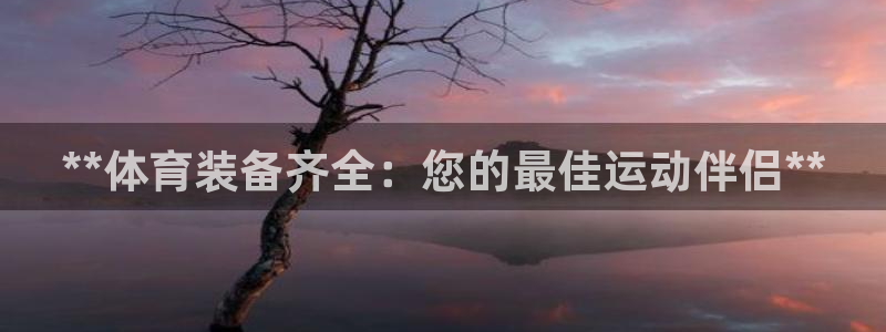 欧陆娱乐欧陆主管：**体育装备齐全：您的最佳运动伴侣