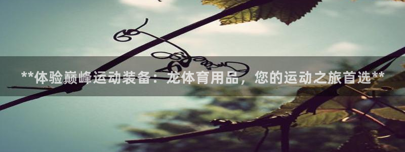 欧陆娱乐请输入USDT地址：**体验巅峰运动装备：龙