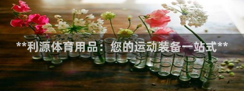 欧陆娱乐登录注册平台有哪些：**利源体育用品：您的运