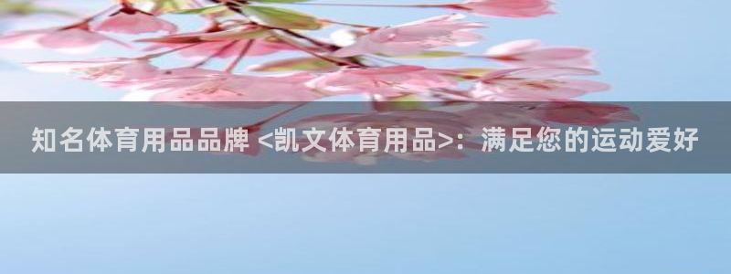 欧陆娱乐会员多少钱：知名体育用品品牌 <凯文体育用品