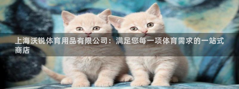 欧陆娱乐是正规吗?：上海沃锐体育用品有限公司：满足您