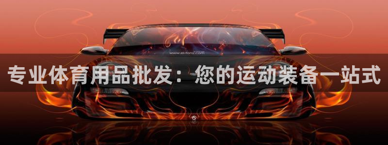 欧陆娱乐会员有什么用：专业体育用品批发：您的运动装备