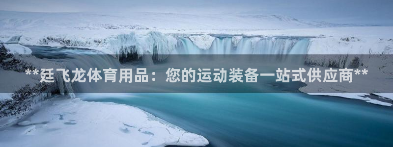 欧陆是什么平台：**廷飞龙体育用品：您的运动装备一站式供应商