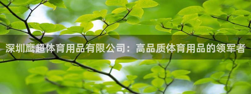欧陆娱乐合法吗：深圳鹰超体育用品有限公司：高品质体育