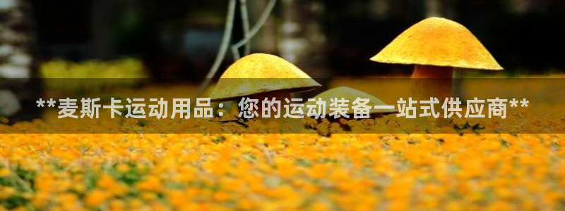 欧陆娱乐公司产品介绍图片：**麦斯卡运动用品：您的运