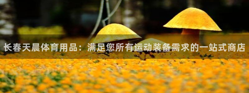 欧陆娱乐计划app官方正版安装下载：长春天晨体育用品