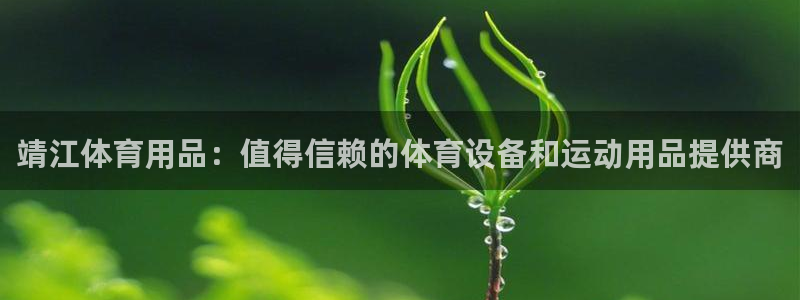 欧陆娱乐安全?：靖江体育用品：值得信赖的体育设备和运