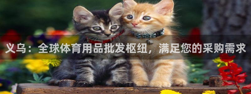 欧陆娱乐能赚钱吗知乎：义乌：全球体育用品批发枢纽，满