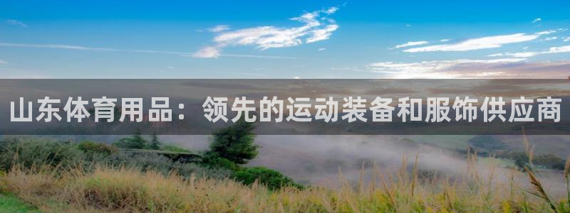 欧陆娱乐代理 贴吧：山东体育用品：领先的运动装备和服