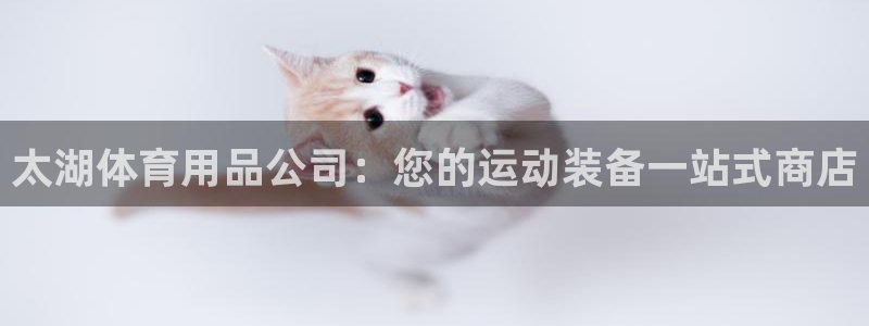 欧陆官方网站：太湖体育用品公司：您的运动装备一站式商