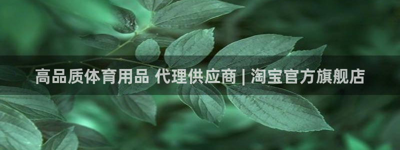 欧陆娱乐挂机怎么玩的：高品质体育用品 代理供应商 | 淘宝官