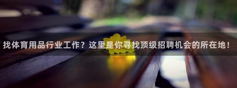 欧陆娱乐挂机怎么玩游戏：找体育用品行业工作？这里是你