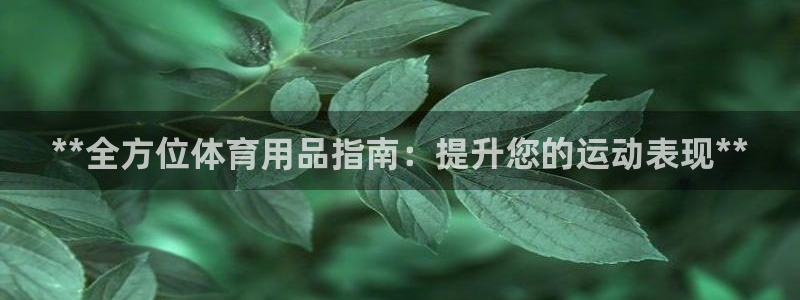欧陆娱乐能赚钱吗：**全方位体育用品指南：提升您的运
