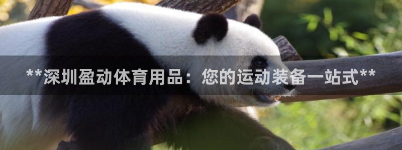 欧陆娱乐平台登陆地址：**深圳盈动体育用品：您的运动