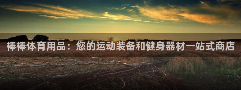 欧陆娱乐欢迎访问：棒棒体育用品：您的运动装备和健身器