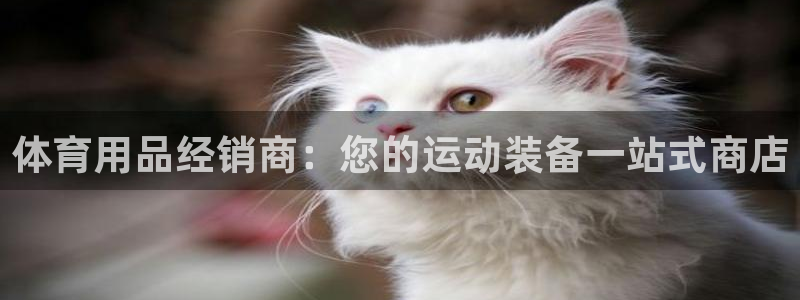欧陆娱乐平台咋样：体育用品经销商：您的运动装备一站式