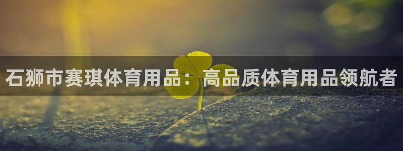 欧陆娱乐app打不开怎么回事：石狮市赛琪体育用品：高