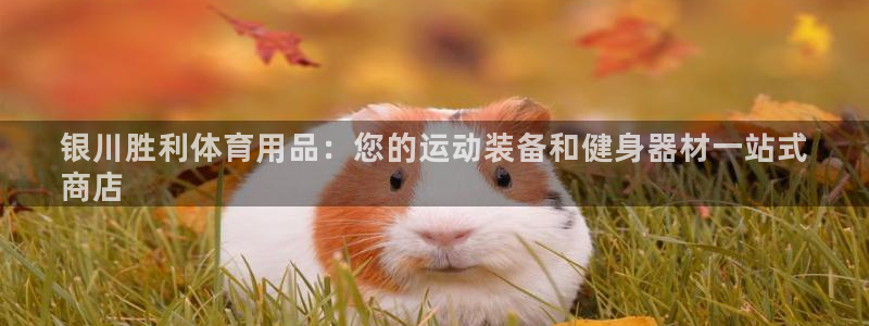欧陆软件官网：银川胜利体育用品：您的运动装备和健身器