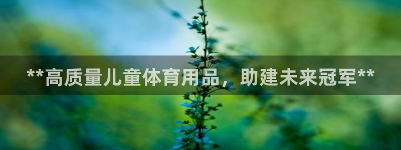 欧陆娱乐官网：**高质量儿童体育用品，助建未来冠军*