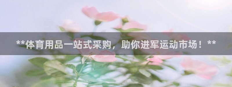 欧陆娱乐注册平台：**体育用品一站式采购，助你进军运