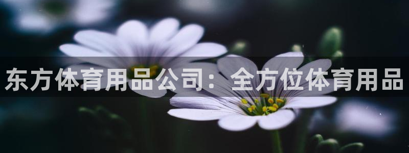 欧陆娱乐登陆平台官网：东方体育用品公司：全方位体育用