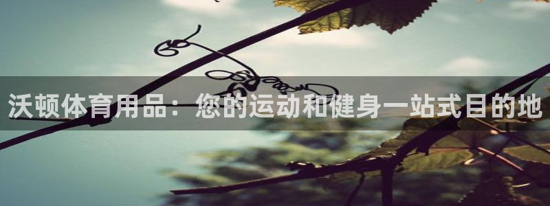 欧陆娱乐官网注册中心下载：沃顿体育用品：您的运动和健身一站式