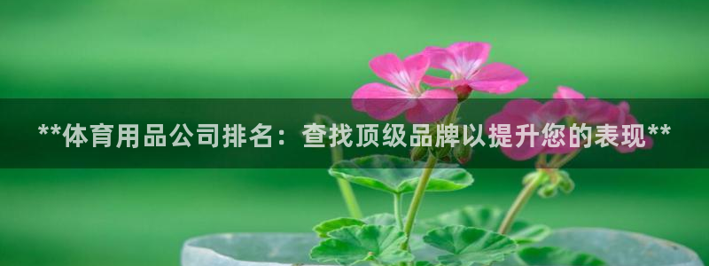 欧陆娱乐是正规平台吗安全吗可信吗：**体育用品公司排