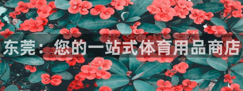 欧陆娱乐测试网站