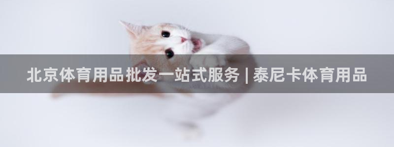 欧陆娱乐注册代理多少钱啊：北京体育用品批发一站式服务