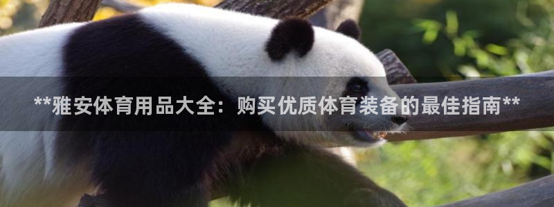 欧陆游戏平台：**雅安体育用品大全：购买优质体育装备
