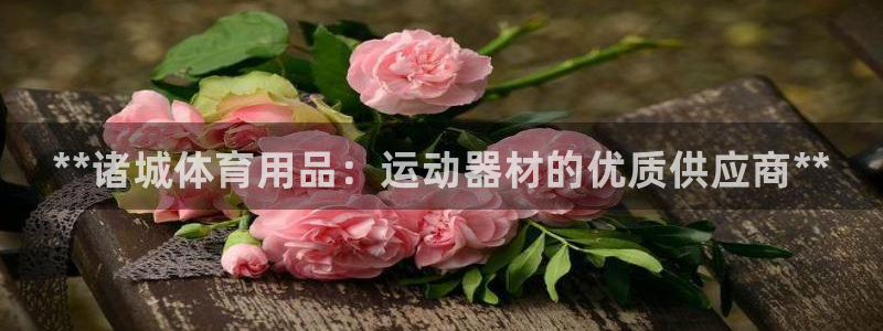 欧陆娱乐能提现嘛现在：**诸城体育用品：运动器材的优