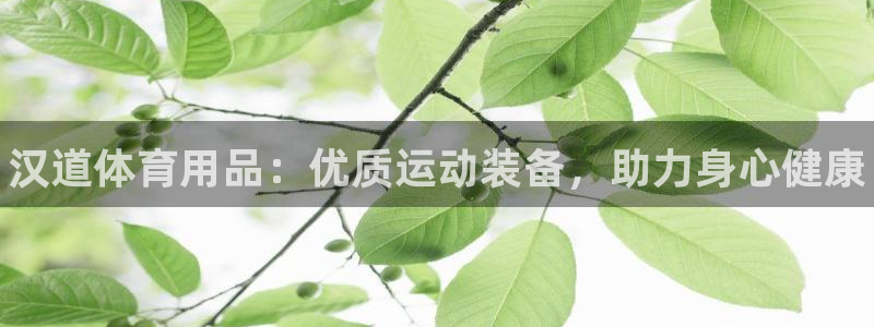 欧陆娱乐客服人工电话：汉道体育用品：优质运动装备，助