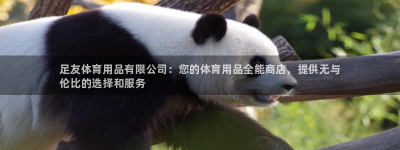 欧陆娱乐怎么样：足友体育用品有限公司：您的体育用品全能商店，