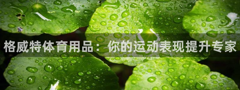 欧陆娱乐官网首页下载：格威特体育用品：你的运动表现提升专家