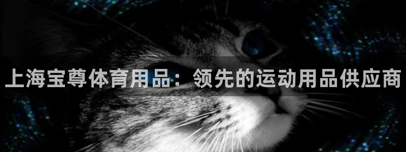 欧陆娱乐官网网址是什么：上海宝尊体育用品：领先的运动用品供应
