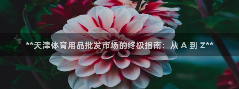 欧陆娱乐是真的吗：**天津体育用品批发市场的终极指南：从 A