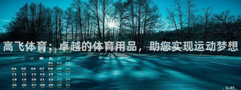 欧陆娱乐计划app官方正版安装下载：高飞体育：卓越的