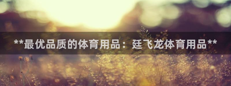 欧陆注册码：**最优品质的体育用品：廷飞龙体育用品*