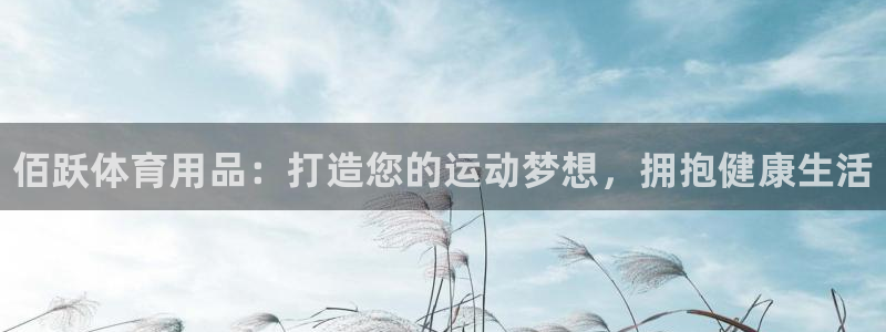 欧陆娱乐怎么注册账号：佰跃体育用品：打造您的运动梦想