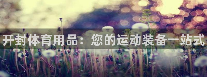 欧陆娱乐登陆平台下载：开封体育用品：您的运动装备一站