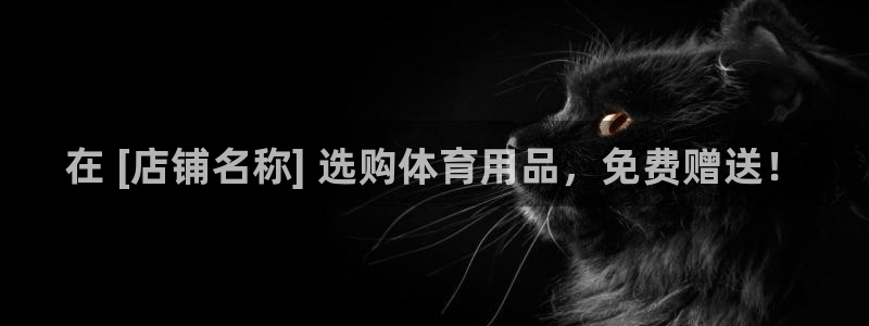欧陆娱乐注册链接安全吗可靠吗：在 [店铺名称] 选购体育用品