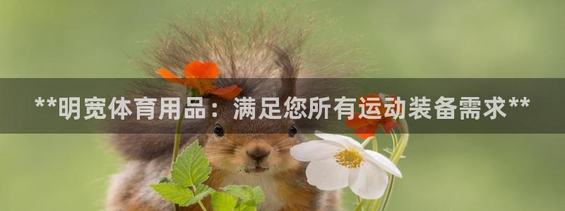 欧陆娱乐系统教程：**明宽体育用品：满足您所有运动装