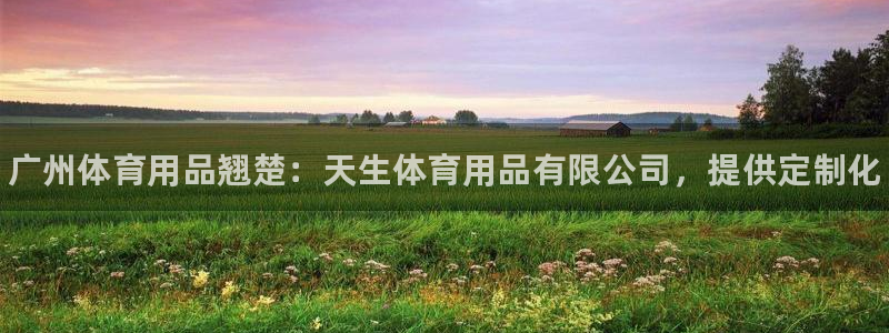 欧陆娱乐登录平台下载：广州体育用品翘楚：天生体育用品