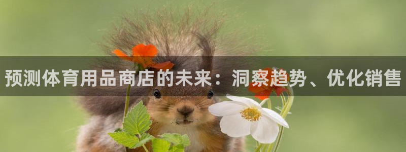 欧陆论坛：预测体育用品商店的未来：洞察趋势、优化销售