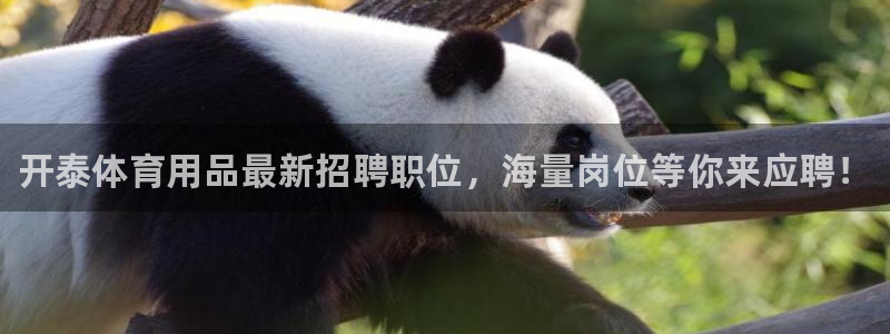 欧陆娱乐是正规平台吗安全吗可信吗是真的吗：开泰体育用