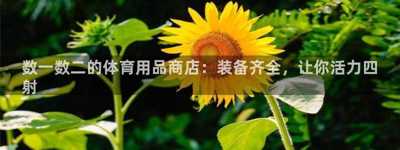 欧陆娱乐总代理