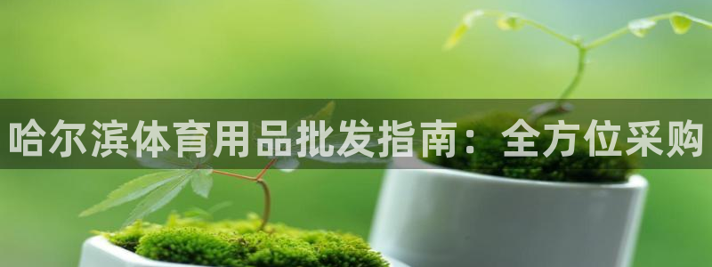欧陆娱乐官网下载安装:哈尔滨体育用品批发指南:全方位采购