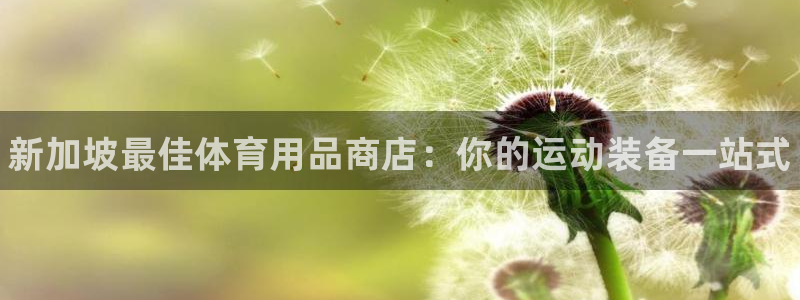 欧陆娱乐登录注册平台下载:新加坡最佳体育用品商店:你的运动装