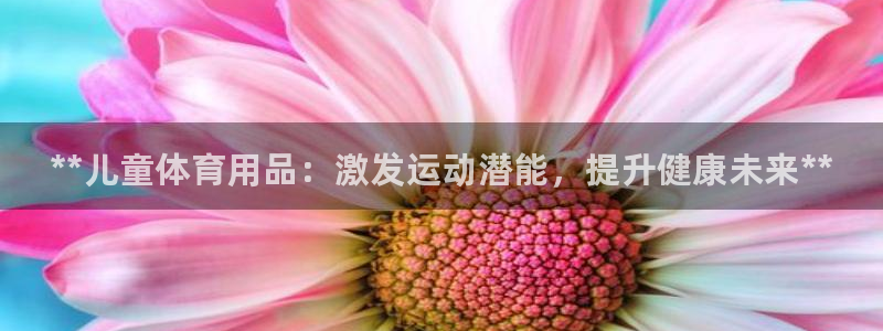 欧陆娱乐怎么样：**儿童体育用品：激发运动潜能，提升健康未来